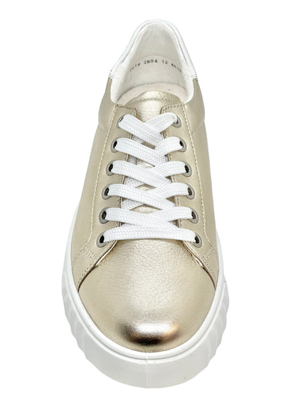 Ara Ladies Monaco  Metallic Lace Up Sneaker