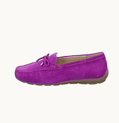 Ara Ladies Alabama Suede Bow trim Loafer