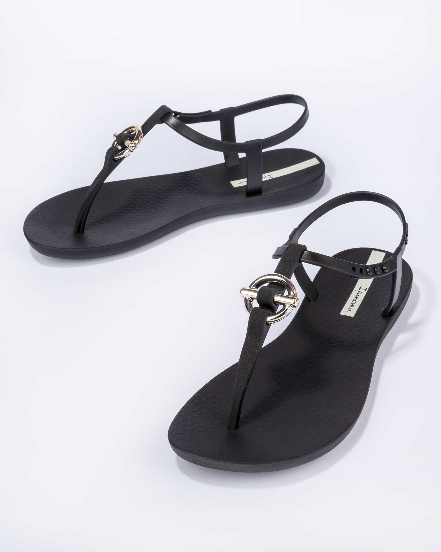 Ipanema Belt Ladies Toe Thong Sandal